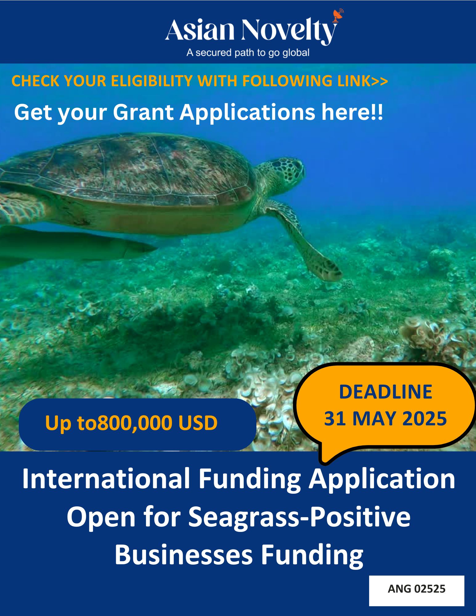 (ANG 25)International Funding Application Open for Seagrass-Positive Businesses Funding